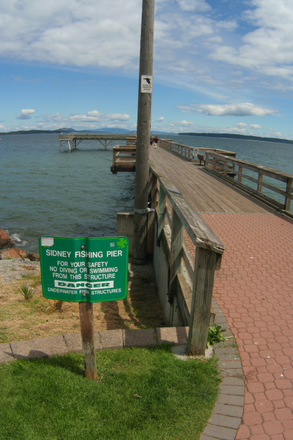 NO SWIMMING OR DIVING FROM PIER